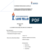 Realidad Proyecto de Aula-Estructura Delestadoecuatoriano2