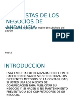 Encuestas de Los Negocios de Andalucia Guia 5