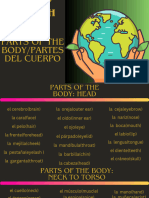 Parts of The Bodypartes Del Cuerpo