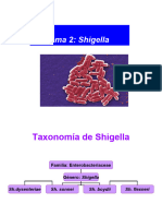 2-Tema 2 Shigella