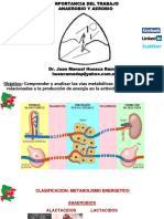 Importancia Anaerobio Aerobio