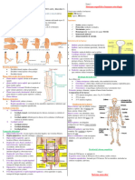 Anatomía 1