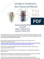 Anatomy Module - Intro To Basics II - Intro To Skin, Fascia and Muscle - 2020
