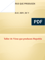 TALLER 15 Hepatitis