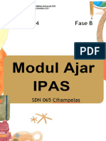 Modul IPAS Fase B