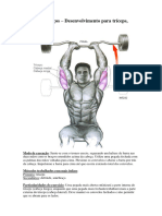 Musculação para Iniciantes 2