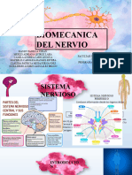 Biomecanica Del Nervio-1