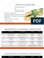Insect Pests of Sugarcane