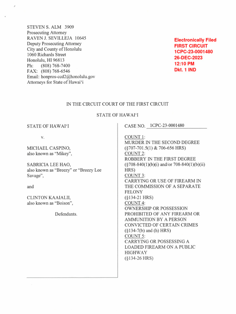 Legal Filing Notice | PDF
