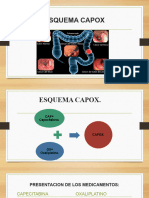 Fin ESQUEMA CAPOX Finalizado