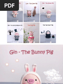 Jennie Dolly Pig 6 in One