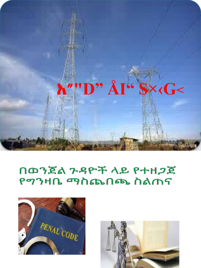 Criminal Power Point PDF