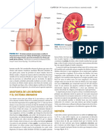 Biblio para Renal Bloque III