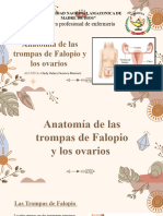 Anatomia de Los Ovarios y Trompas de Falopio