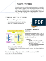 Shuttle System