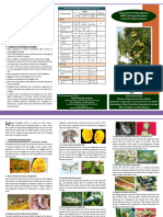 Mango Ipm For Export