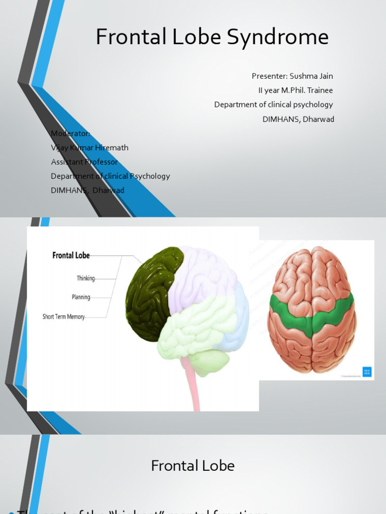 Frontal Lobe Syndrome | PDF | Prefrontal Cortex | Frontal Lobe