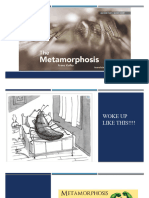 The Metamorphosis Analysis 2023-2024