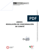 Anexo Resolucion Conformacion