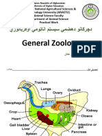 د چرګانو هضمی سیستم اناتومی او فزیولوژی 