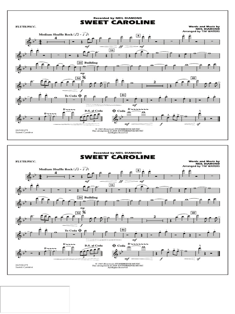 01.flute & Piccolo PDF