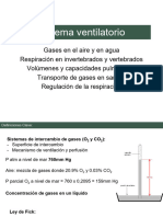 T16 Respiratorio - 23