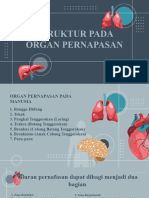 Struktur Pernapasan