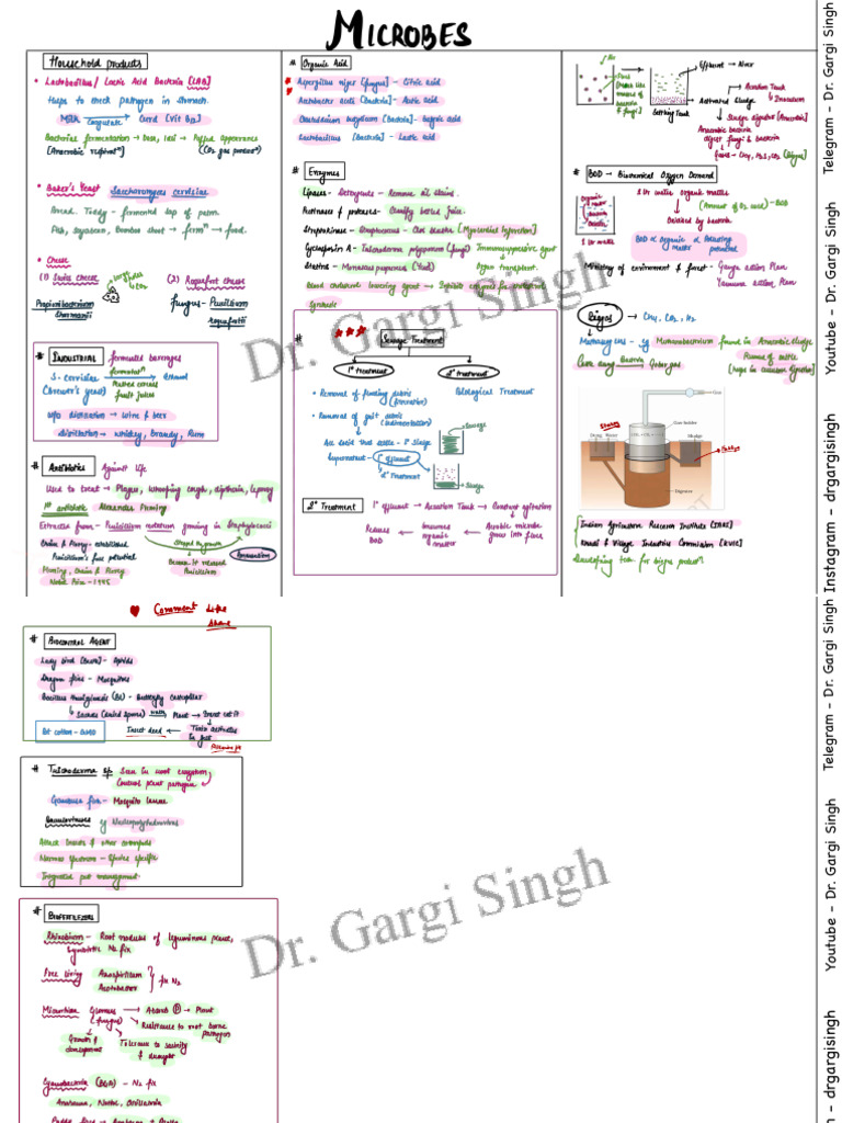 DR Gargi Singh - 2 Page Notes - Microbes | PDF