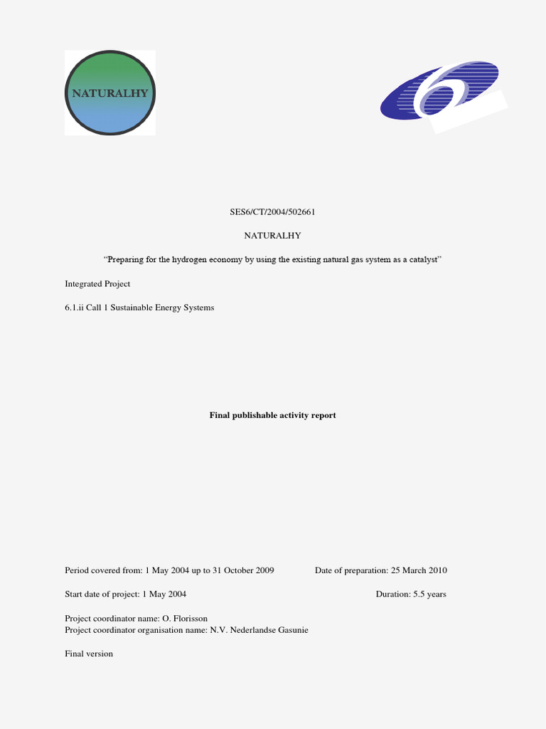 Hydrogen Integration in Gas Systems | PDF | Gasification | Carbon ...