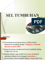 Sel Tumbuhan