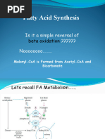 Fat Synthesis