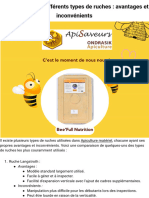 Comparaison de Différents Types de Ruches - Avantages Et Inconvénients