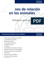 15 Presentacion Funcion Relacion Animales