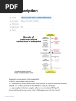 L1 Transcription