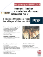 Fiches Pratiques Bufflo