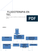Fluidoterapia en Tec