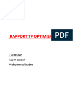Rapport TP Optimisation