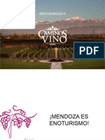 Enoturismo Mendoza