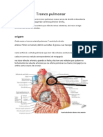 Tronco Pulmonar - Anatomia Resumo