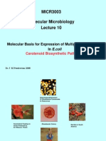 MICR3003 Molecular Microbiology: Molecular Basis For Expression of Multigene Phenotypes in E.coli