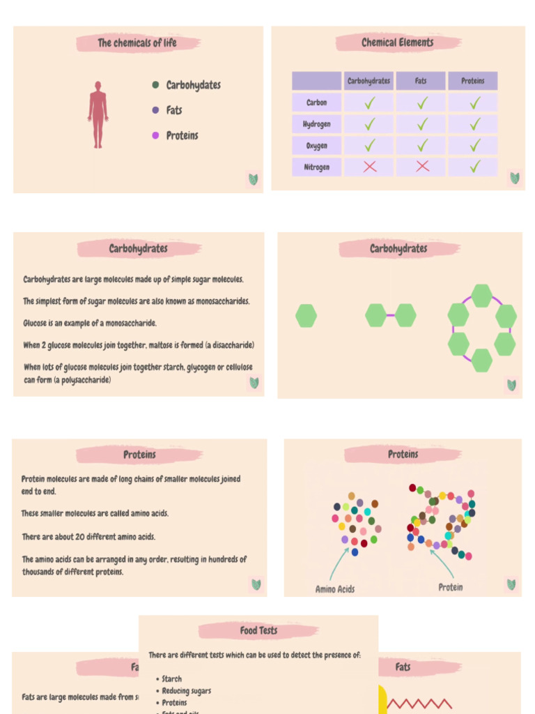Bio Notes - Biological Molecules | PDF