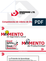 Competencias de Liderazgo (DLTD)