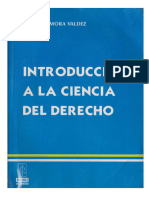 Introduccion A La Ciencia Del Derecho