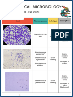 Medical Microbiology Spots - Fall 2023