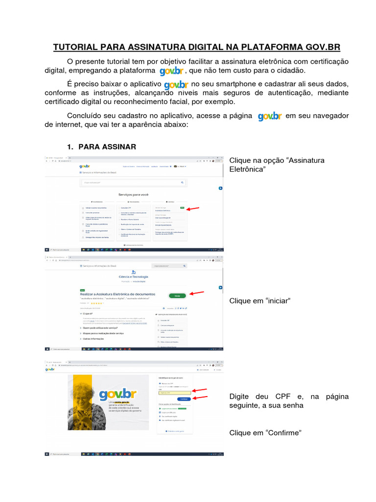 Tutorial para Assinatura Digital Na Plataforma Gov BR | PDF ...