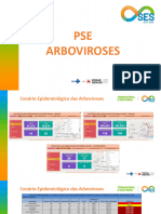 Apresentação PSE e Arboviroses 31-05-23