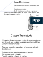 Principais Classes de Platelmintos: Monogenea, Trematoda e Cestoda