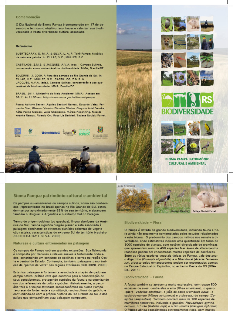 Folder Bioma Pampa | Download grátis PDF | Ecologia | Conservação ambiental