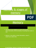 Memory and It's Stages 2