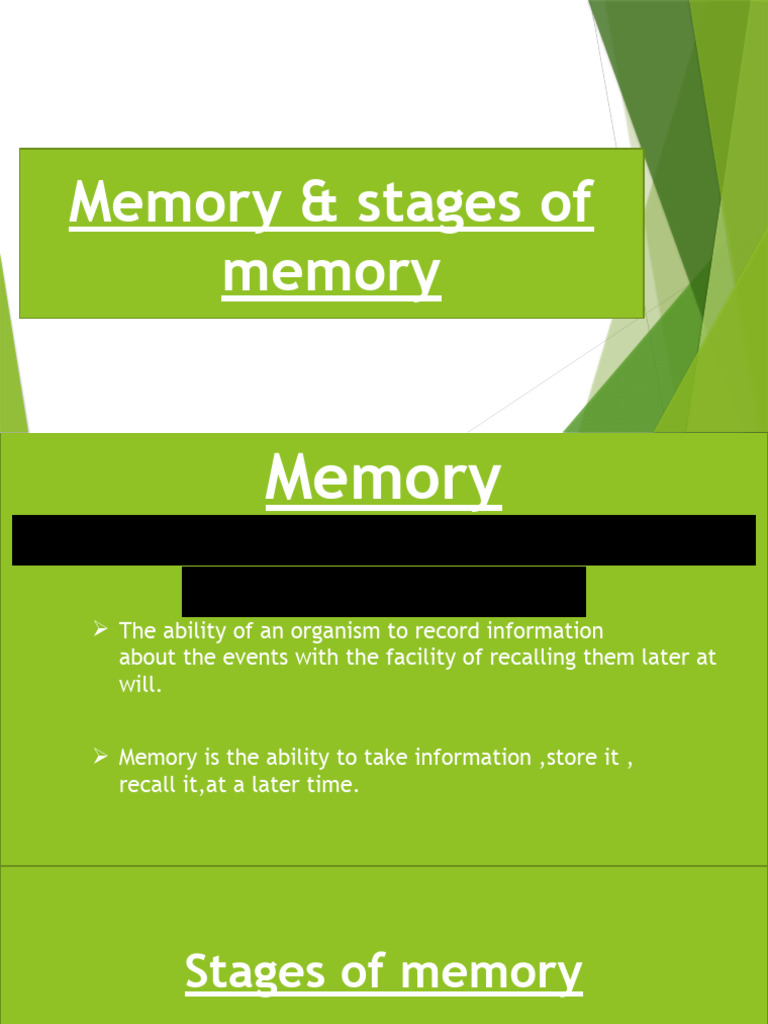 Memory and It's Stages 3 | PDF | Memory | Long Term Memory
